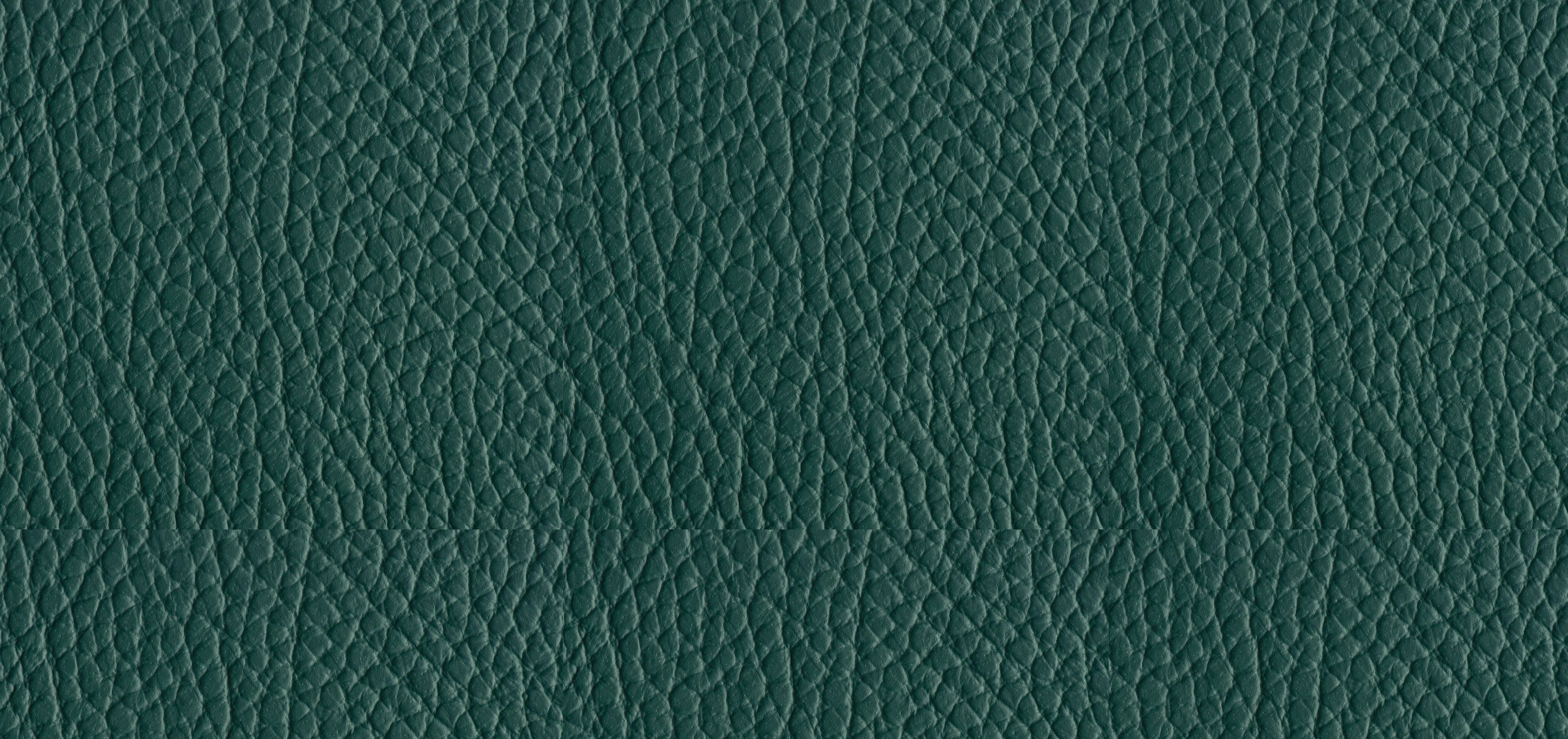 Indestructibull – Jerry Pair Leather