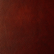 The Hide Life - Port