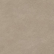 Cowlick - Canvas
