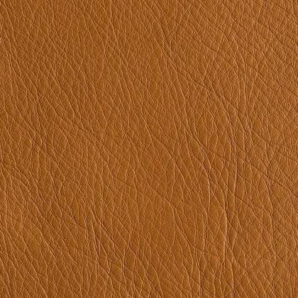 In The Moo'd - Mojave