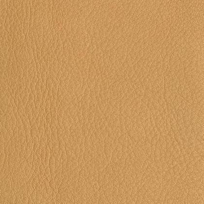 Bessie - Fawn