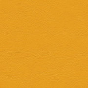 In The Moo'd - Tangerine