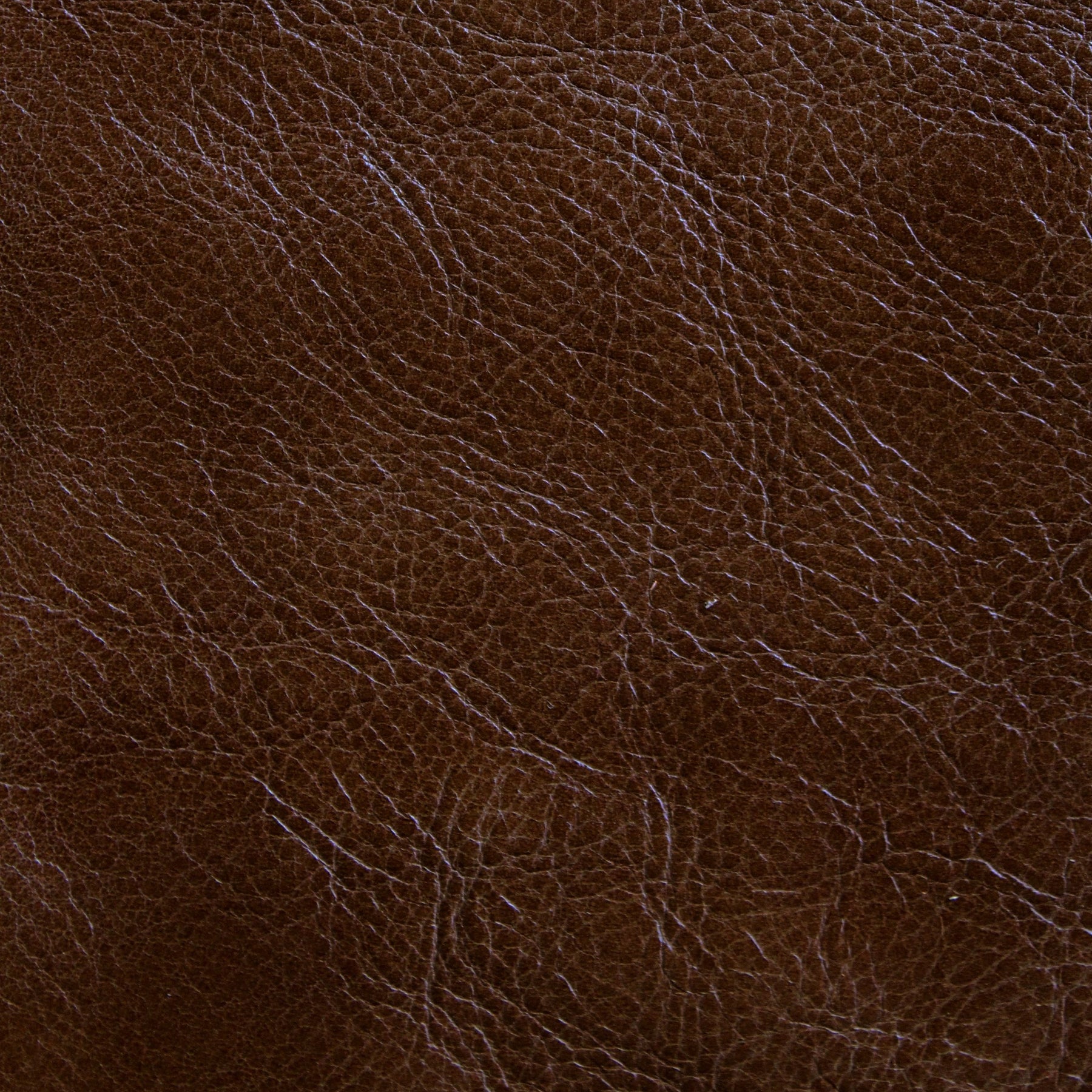 Amazing Graze - Beloved – Jerry Pair Leather