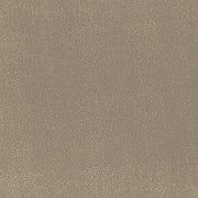 Hoof Print III - Canvas