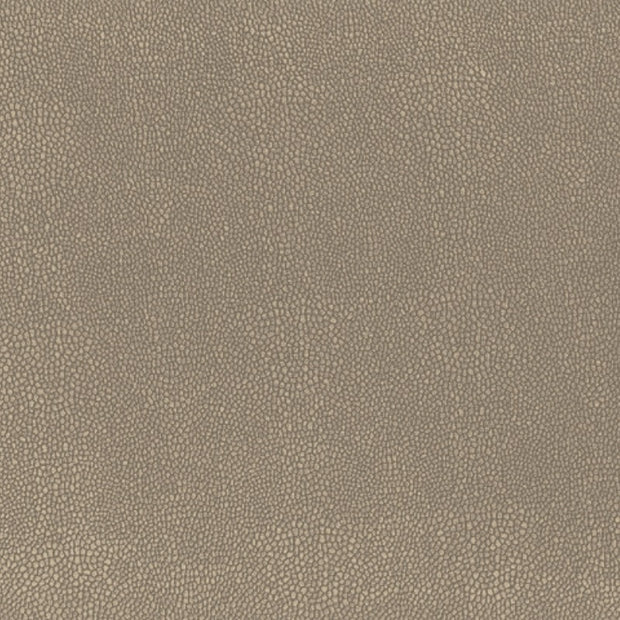 Hoof Print III - Canvas